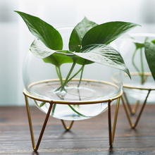 Load image into Gallery viewer, Glass flower pot
