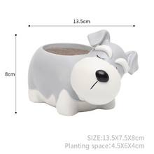 Load image into Gallery viewer, Creative Sleeping Pet Succulent Flower Pot
