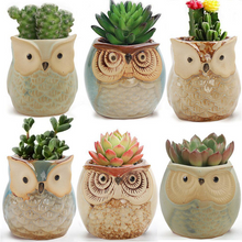 Load image into Gallery viewer, Owl Animal Thumb Flower Pot Personality Ceramic Craft Office Home Decoration
