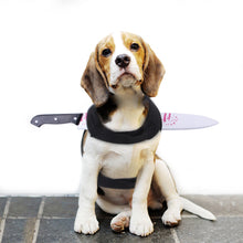 Load image into Gallery viewer, Creative Halloween Tricks For Cats And Dogs
