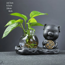 Load image into Gallery viewer, Glass Transparent Water Cultivation Green Dish Ware Flower Pot
