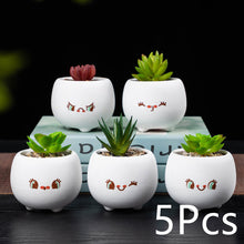 Load image into Gallery viewer, Ceramic Succulent Mini Flower Pot Set

