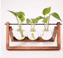 Load image into Gallery viewer, Glass Wood Vase Table Desktop Hydroponics Plant Stationery Bonsai Flower Pot Decoration Hanging Pots with Wooden Tray Pen Holder

