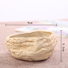 Load image into Gallery viewer, Mini Stone Succulent Plant Potted Kiln Becomes Creative Ceramic Green Plant Pot
