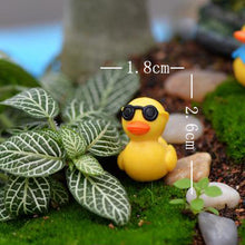 Load image into Gallery viewer, Moss Micro Landscape Succulent Creative Decorations
