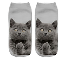 Load image into Gallery viewer, Various Cat Socks
