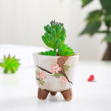 Load image into Gallery viewer, Hand Carved Ceramic Succulent Flower Pot
