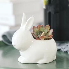 Load image into Gallery viewer, Succulent ceramic flowerpot

