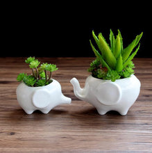 Load image into Gallery viewer, Creative ceramic flower pot

