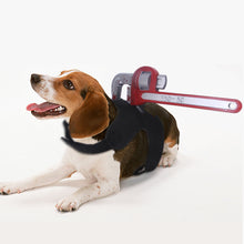 Load image into Gallery viewer, Creative Halloween Tricks For Cats And Dogs
