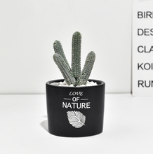Load image into Gallery viewer, Succulent simulation plant small potted cactus ball
