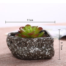 Load image into Gallery viewer, Mini Stone Succulent Plant Potted Kiln Becomes Creative Ceramic Green Plant Pot

