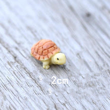 Load image into Gallery viewer, Moss Micro Landscape Succulent Creative Decorations
