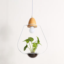Load image into Gallery viewer, Plant Chandelier
