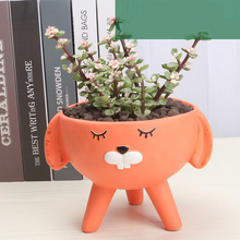 Load image into Gallery viewer, Simple Small Desktop Home Animal Flowerpot
