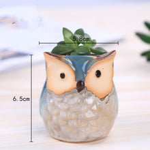 Load image into Gallery viewer, Owl Animal Thumb Flower Pot Personality Ceramic Craft Office Home Decoration
