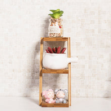Load image into Gallery viewer, Succulent Potted Solid Wood Bay Window Flower Pot Shelf Storage

