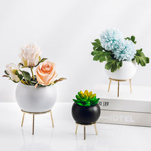 Load image into Gallery viewer, Plant potted ornaments
