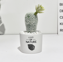 Load image into Gallery viewer, Succulent simulation plant small potted cactus ball
