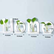 Load image into Gallery viewer, Perforation-free Wall Hanging Flower Stand
