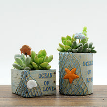 Load image into Gallery viewer, Creative Succulent Retro Hut Xiaoyang Building Flower Pot
