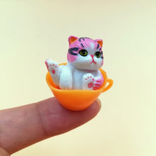 Load image into Gallery viewer, 12 pcs Cup Chesse Cat or Landscape Doll
