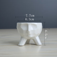 Load image into Gallery viewer, Simple And Creative White Succulent Flower Pot
