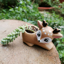 Load image into Gallery viewer, Hand Painted Elk Ceramic Ornament Succulent Flower Pot
