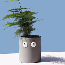 Load image into Gallery viewer, Cement Flowerpot Big Eyes Creative Tabletop Succulent Flowerer
