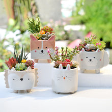 Load image into Gallery viewer, Fun Play Gardening Ceramic Flower Pot
