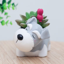 Load image into Gallery viewer, Creative Sleeping Pet Succulent Flower Pot
