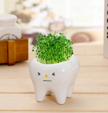 Load image into Gallery viewer, Teeth flower pot simple dehua white porcelain succulent potted tabletop flower pot potted ornaments
