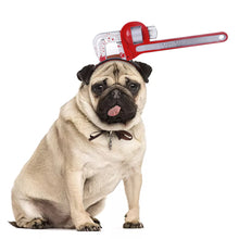 Load image into Gallery viewer, Pet Dog Cats Headdresses Halloween Pet Cat Headgear
