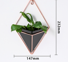 Load image into Gallery viewer, Creative home three-dimensional wall decoration flower pot
