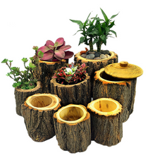Load image into Gallery viewer, Creative Desktop Wooden Crafts Solid Wood Flower Pot
