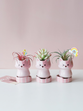 Load image into Gallery viewer, Creative Personality Cute Small Ceramic Flowerpot
