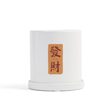 Load image into Gallery viewer, Matte Straight Personality Indoor Ceramic Flowerpot
