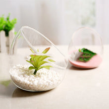 Load image into Gallery viewer, Large Beveled Glass Vase Creative Micro Landscape Ecological Bottle
