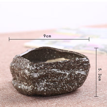 Load image into Gallery viewer, Mini Stone Succulent Plant Potted Kiln Becomes Creative Ceramic Green Plant Pot
