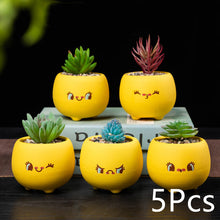 Load image into Gallery viewer, Ceramic Succulent Mini Flower Pot Set
