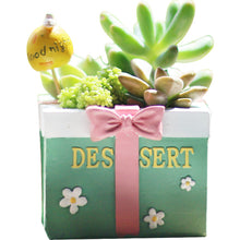 Load image into Gallery viewer, Creative And Succulent Imitated Multi-material Mini Flowerpots Original Micro-landscape
