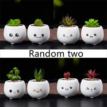 Load image into Gallery viewer, Ceramic Succulent Mini Flower Pot Set

