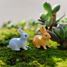 Load image into Gallery viewer, Moss Micro Landscape Decoration DIY Assembly

