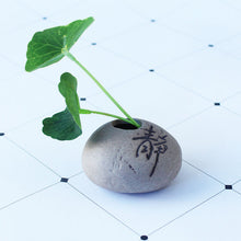 Load image into Gallery viewer, Office Desktop Imitated Stone Writing Thumb Floret Home Ceramic Succulent Flower Pot
