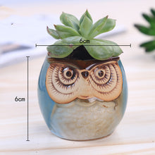 Load image into Gallery viewer, Owl Animal Thumb Flower Pot Personality Ceramic Craft Office Home Decoration
