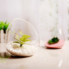 Load image into Gallery viewer, Large Beveled Glass Vase Creative Micro Landscape Ecological Bottle
