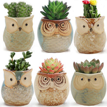Load image into Gallery viewer, Owl Animal Thumb Flower Pot Personality Ceramic Craft Office Home Decoration
