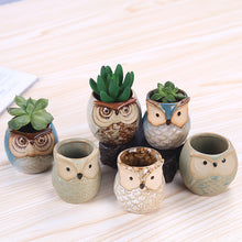 Load image into Gallery viewer, Owl Animal Thumb Flower Pot Personality Ceramic Craft Office Home Decoration

