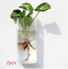 Load image into Gallery viewer, Fashion Wall Hanging Glass Flower Vase Terrarium Wall Fish Tank Aquarium Container Flower Planter Pots Home Garden Decoration
