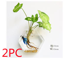 Load image into Gallery viewer, Fashion Wall Hanging Glass Flower Vase Terrarium Wall Fish Tank Aquarium Container Flower Planter Pots Home Garden Decoration
